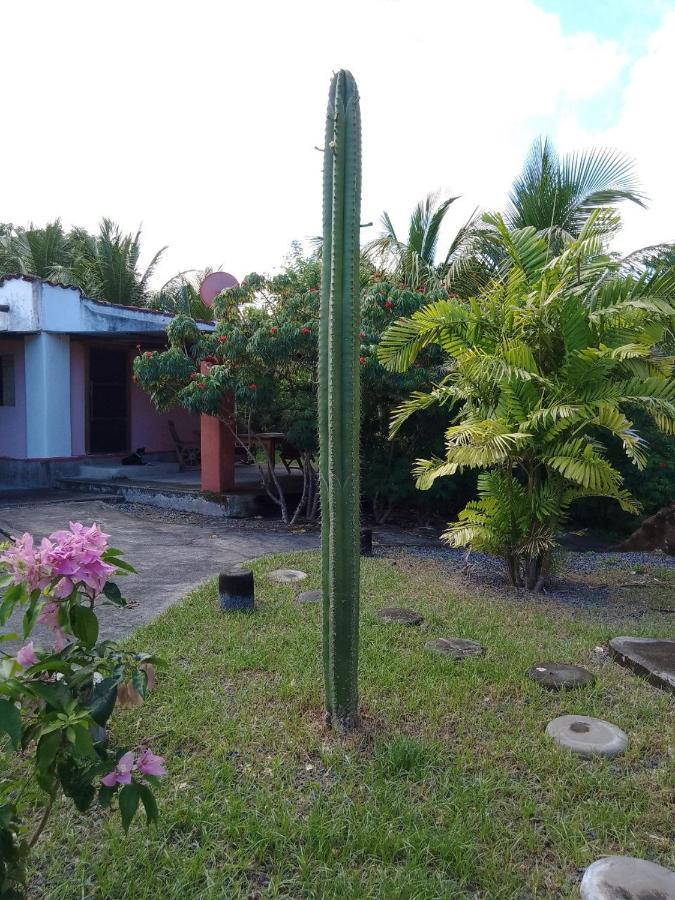 Hostel Rancho Tranquillo Moyogalpa Exterior foto