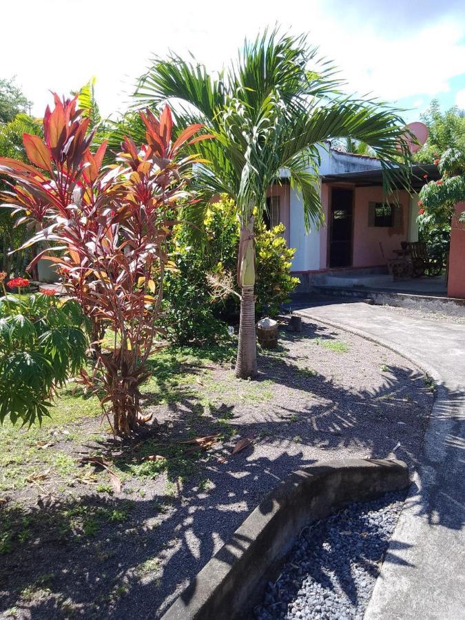 Hostel Rancho Tranquillo Moyogalpa Exterior foto