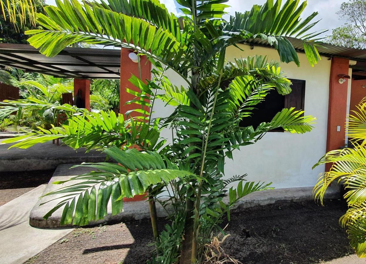 Hostel Rancho Tranquillo Moyogalpa Exterior foto
